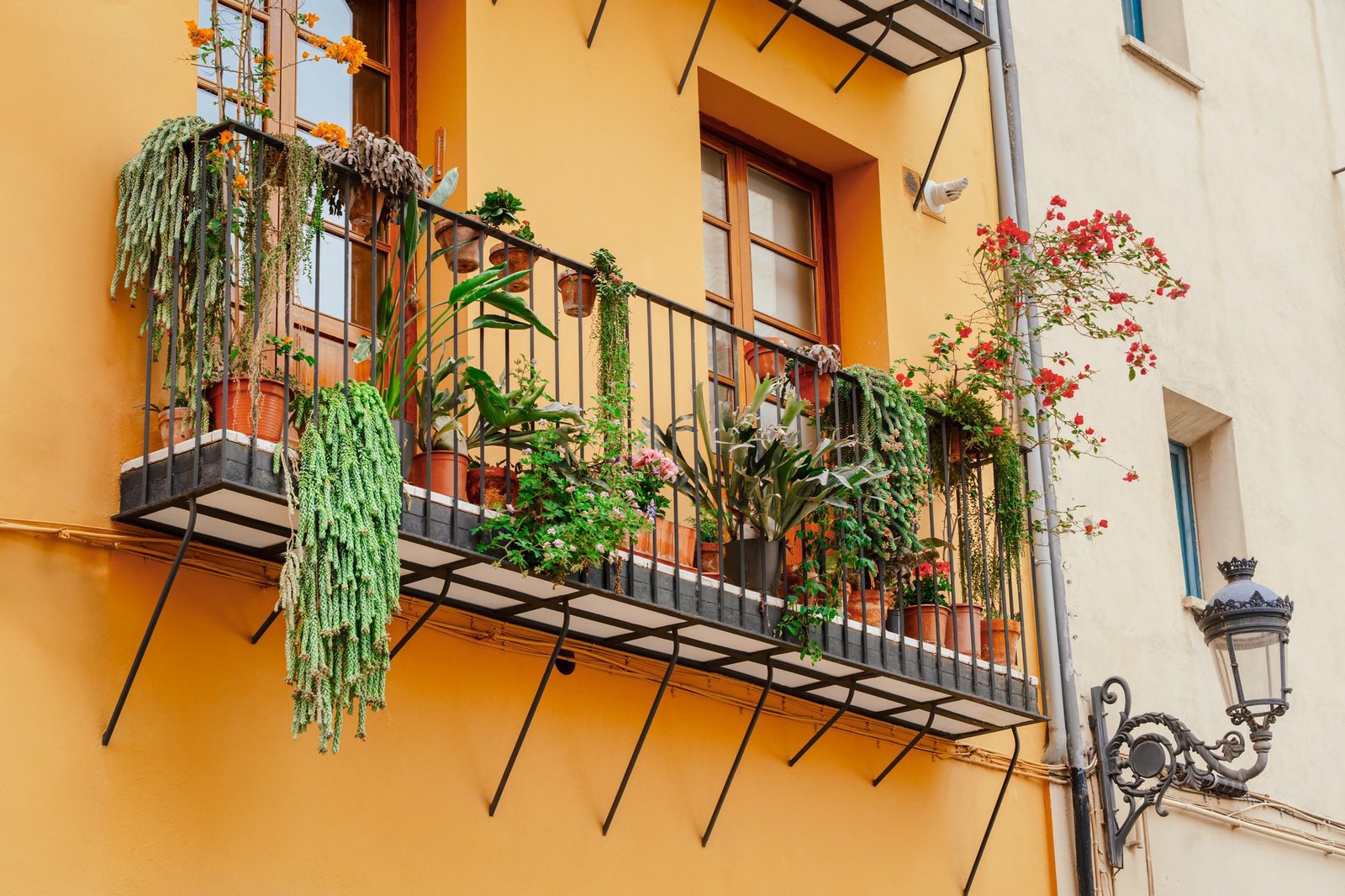 Blumenkästen auf einem Balkon mit Schneckenproblem