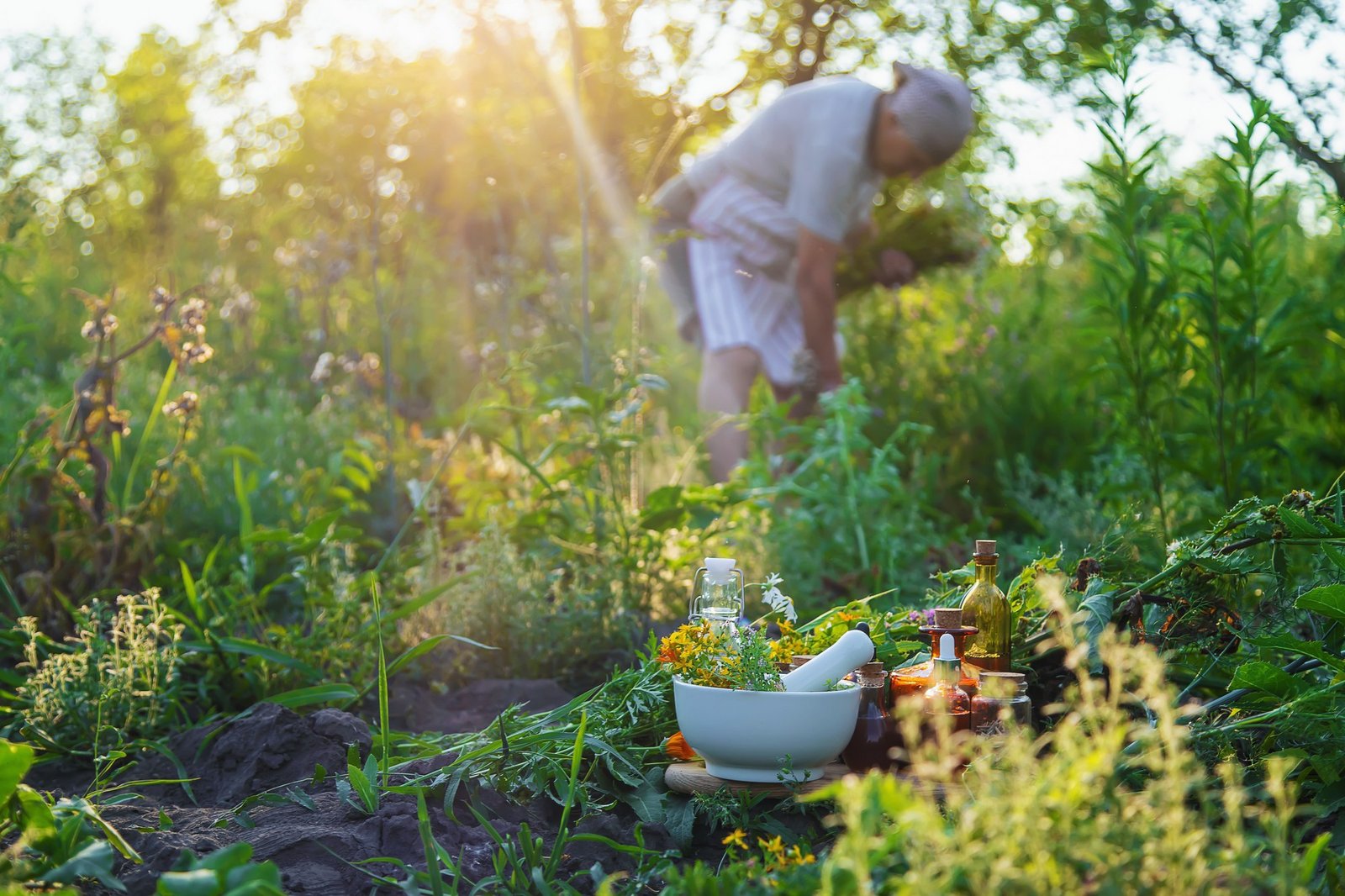 Bewährte Hausmittel gegen Schnecken im Garten