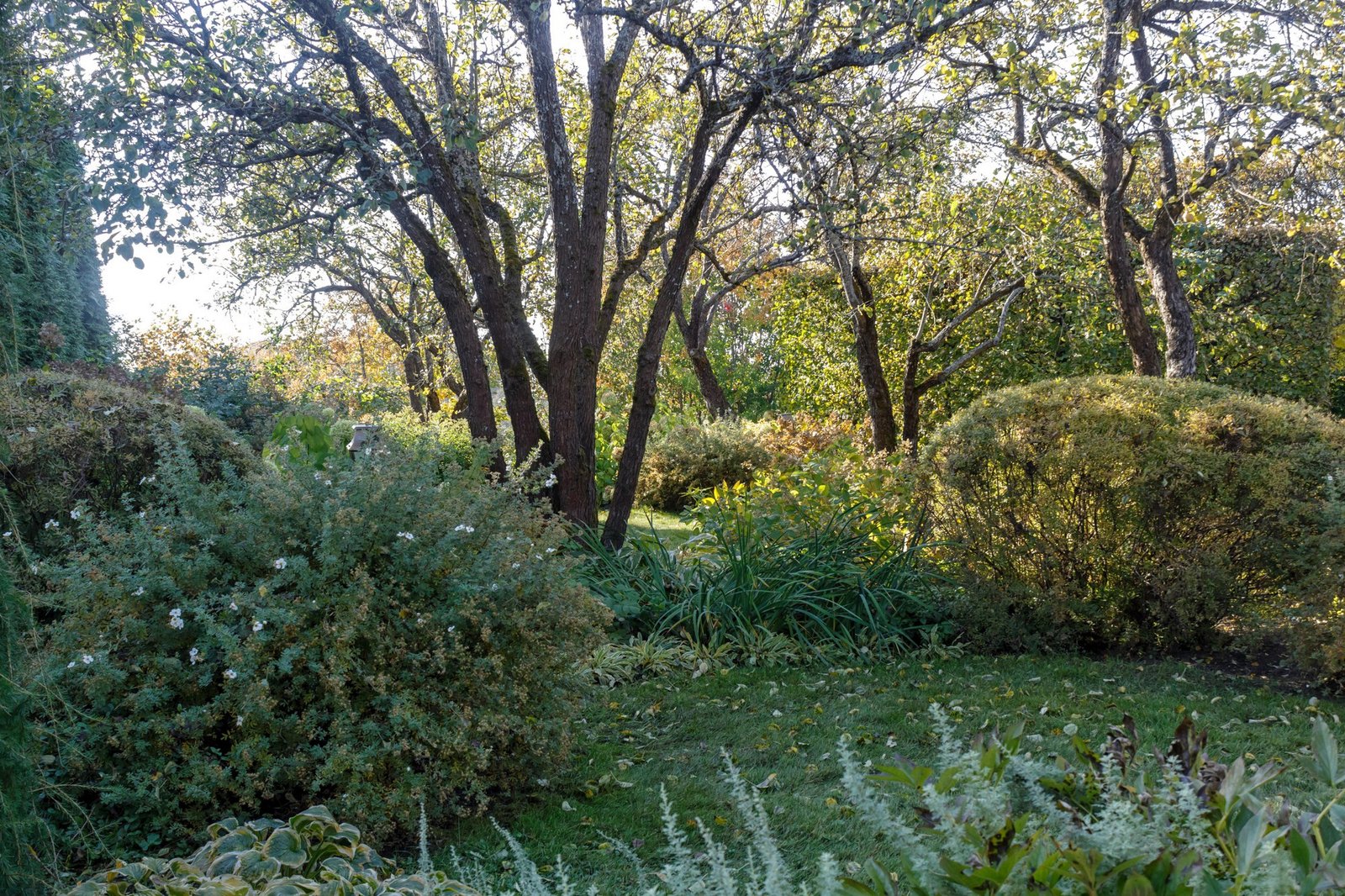 Naturnaher Garten ohne Schneckenfallen